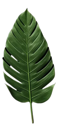 leaf21