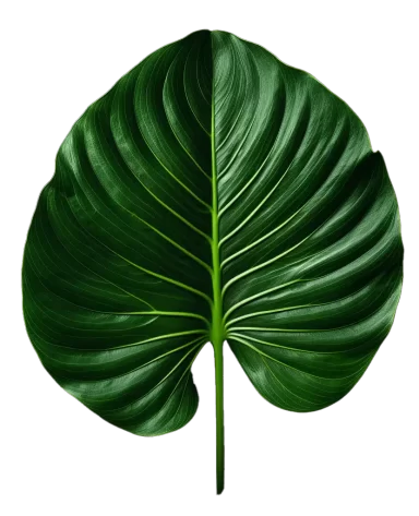 leaf5